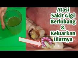  Pin Di Proyek Untuk Dicoba