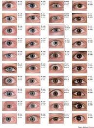24 Trendy Ideas For Eye Color Chart Genetics Hazel Eye In