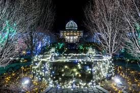 9 Botanical Gardens That Are More Beautiful At Night Lewis Ginter Botanical Garden Botanical Gardens Annual Garden