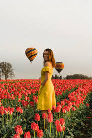 This year, in 2019, the festival started march 23 and has been extended until may 5. Hot Air Balloons At Wooden Shoe Tulip Farm In Oregon Tulip Festival Portland Travel Portland Travel Guide