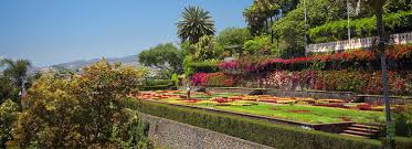 Der botanische garten liegt etwa drei kilometer oberhalb von funchal und ist entweder mit dem linienbus, taxi oder auch mit der gondelbahn gut. Botanischer Garten Madeira