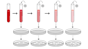 Image result for Neutralization Test