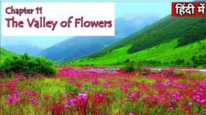 Maybe you would like to learn more about one of these? Valley Of Flowers Class 4 Evs Chapter 11 à¤¹ à¤¦ à¤® Ncert Class 4 Evs Cbse Class 4 Evs Youtube