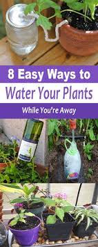 How To Water Plants While You Re Away Organic Gardening Self Watering Plants Water Plants Plants