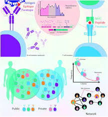 We did not find results for: Augmenting Adaptive Immunity Progress And Challenges In The Quantitative Engineering And Analysis Of Adaptive Immune Receptor Repertoires Molecular Systems Design Engineering Rsc Publishing