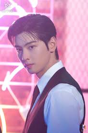 Admiration for Cha Eun-woo's work and performances