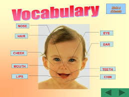 Beginner Module 1 (units 1-4) Virginia Evas-Jenny Dooley