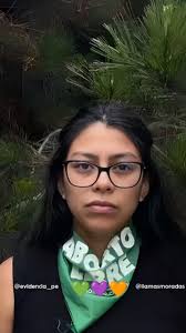 EFÉMERIDES 🚨 DÍA INTERNACIONAL DE LOS BOSQUES 🚨 Desde 2001, el mundo ha  perdido más de 440 millones de hectáreas de bosque. En Perú, la situación  es crítica: 🔥 Solo en 2024,