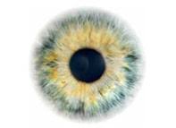 Download dulu kalau tak pakai hot pants, tali halus bukan jasmin hamid namanya! | Motion For Solidarity Cin Tubingen