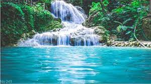 We did not find results for: Nature Video Loop Background Hd