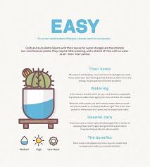 The scion should be firmly attached to the rootstock and you have a newly grafted cactus plant. Infographic How To Choose And Care For Your House Plant Designtaxi Com Succulent Care Planting Succulents House Plant Care