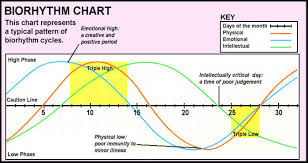Can Bio Rhythms Predict Your Natural Energy Levels Light