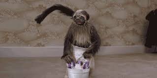 Random Encounters Encounter A Dog Headed Monkey Baby That Delivers
