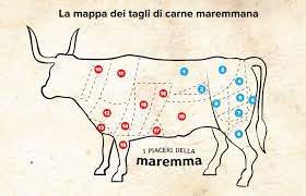 Un prodotto squisito e facile da poter cucinare in padella con aromi di stagione. Mappa Dei Tagli Di Carne Maremmana I Piaceri Della Maremma