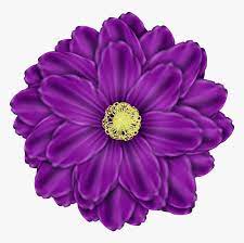 It has a resolution of 570×414 pixels. Purple Flowers Png Image Background Purple Flower Clipart Png Transparent Png Transparent Png Image Pngitem