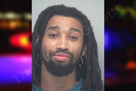 Dominique Levy — Gwinnett County Jail Bookings