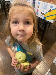 Introduction to the Grove Shack team