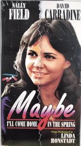 Sally Stamp's Instagram, Twitter & Facebook