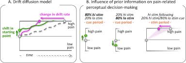 Cortico Brainstem Mechanisms Of Biased Perceptual Decision Making In The Context Of Pain Biorxiv