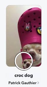 We did not find results for: How To Get Crocs Dog Filter On Snapchat Jypsyvloggin