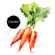 Recettes Par Ingredients Peinture A L Aquarelle Dessins Sur Les Mains Dessin Legumes