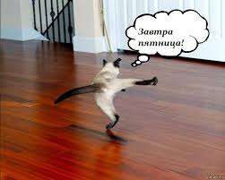 Завтра пятница! | Пикабу