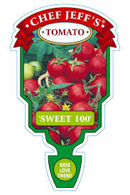 Chef Jeff S Sweet 100 Tomato Outstanding Tomato For Containers Small Sweet Cherry Like Fruit Are Produced In Large Clusters On St Chef Sweet Cherries Tomato