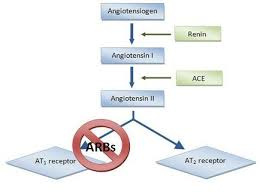 Image result for ACE Inhibitor
