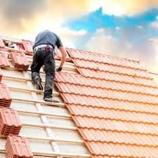 So Vertreiben Sie Einen Marder Aus Ihrem Dachboden