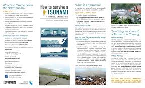 How To Survive A Tsunami Survival Tsunami Natural Disasters