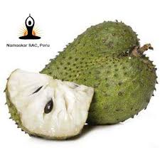 This tree is low and is called graviola in brazil, guanabana in spanish and has the uninspiring name soursop in english. Fresh Soursop Fruit Graviola Fruit Graviola Juice Peru Buy Soursop Fruit Soursop Seeds Soursop Fruit Price Product On Alibaba Com