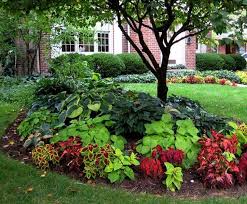 10 Best Shade Garden Ideas For The Backyard Decoratoo Front Yard Landscaping Design Landscaping Around Trees Shade Garden