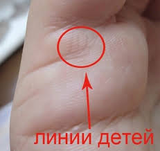 как по руке узнать сколько будет детей у женщины Skolko Budet Muzhej Po Linii Ruki Luchshie Gadaniya Po Date Rozhdeniya Na Zamuzhestvo