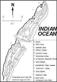 Image result for Pycreus cuanzensis