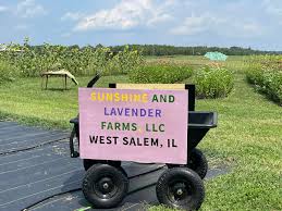 Profile for Sunshine and Lavender Farms, LLC