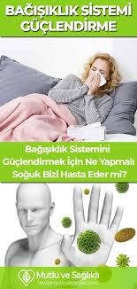 Bagisiklik Sistemi Guclendirmek Icin Ne Yapmali Soguk Hasta Eder Mi 2020 Bagisiklik Sistemi Bagisiklik Sistemini Guclendirmek Dogal Saglik