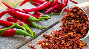 Ants are eusocial insects of the family formicidae and, along with the related wasps and bees, belong to the order hymenoptera. Eat Chili Peppers Live Longer Says Study Ie