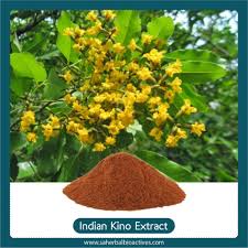 Image result for Pterocarpus