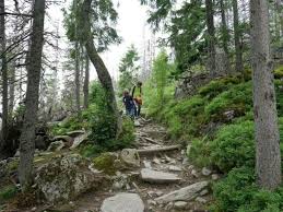 Mit derzeit 833 wandertouren steht freizeitsportlern und aktivurlaubern vor ort ein großes und sehr abwechslungsreiches angebot zur. Wandern Mit Kindern In Der Slowakei Die Hohe Tatra Eignet Sich Da Hervorragend Ausflug Reisen Hohe Tatra