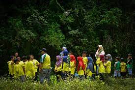 Pendidikan alam sekitar mula diperkenalkan secara formal pada peringkat rendah dalam pelajaran alam dan manusia. Sekolah Alam Ketahui Kelebihan Kekurangan Plus Biayanya
