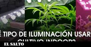 Resultado de imagen para Kit de iluminación indoor