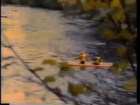 Kayak at shoreline