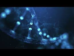 Le Miracle De L Adn Il Est Ecrit Youtube En 2020 Ecrit Miracle Parole De Dieu