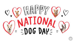 Contact national love your pet day on messenger. Dog Days Gifs Get The Best Gif On Giphy