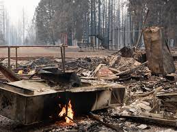 BURNED: As California wildfires threaten rural communities, Forest Service  prevention efforts stall out - capradio.org