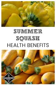 Corn can actually be eaten raw off the cob which retains more of its nutrients and is just as sweet as. Health Benefits Of Summer Squash Gardening Channel