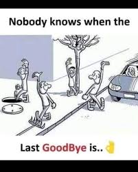 Pepsfeeder Funny Cartoon Memes Reality Quotes Motivatinal Quotes