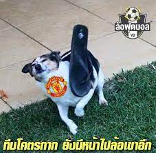We did not find results for: à¸¥ à¸­à¹à¸¡à¸™à¸¢ à¸¯ à¹à¸— à¸à¸„à¸™à¸à¸²à¸à¹†à¸«à¸™ à¸­à¸¢ Facebook