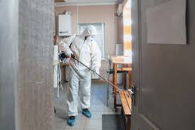 What Does a Remediation Company Do? The Industry in 2024