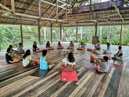 We are for the ones who are ready. Top 10 Yoga Teacher Training In Philippines